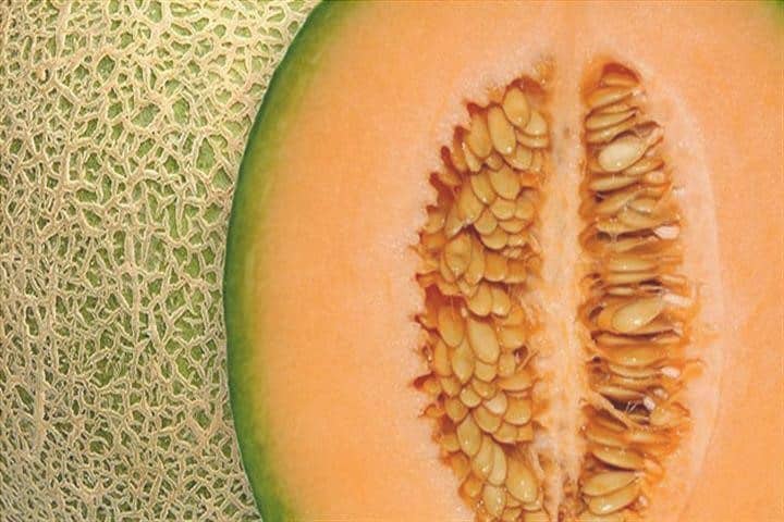 melon1