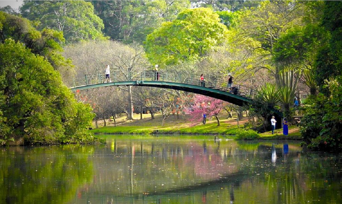 Atrações gratuitas em São Paulo